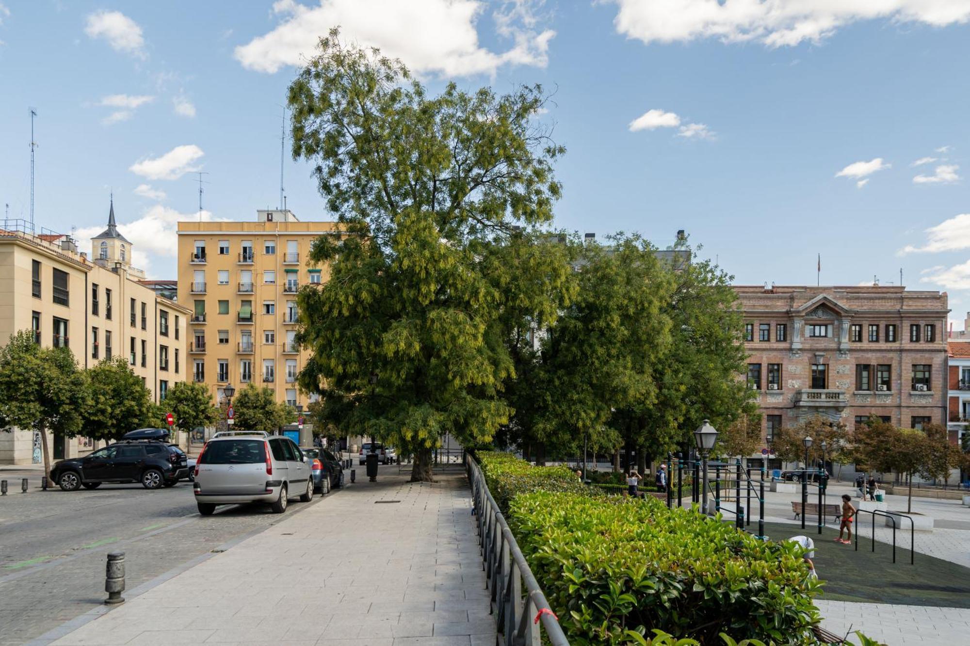 Precioso Apartamento La Latina-Rastro Arn Madrid Eksteriør bilde